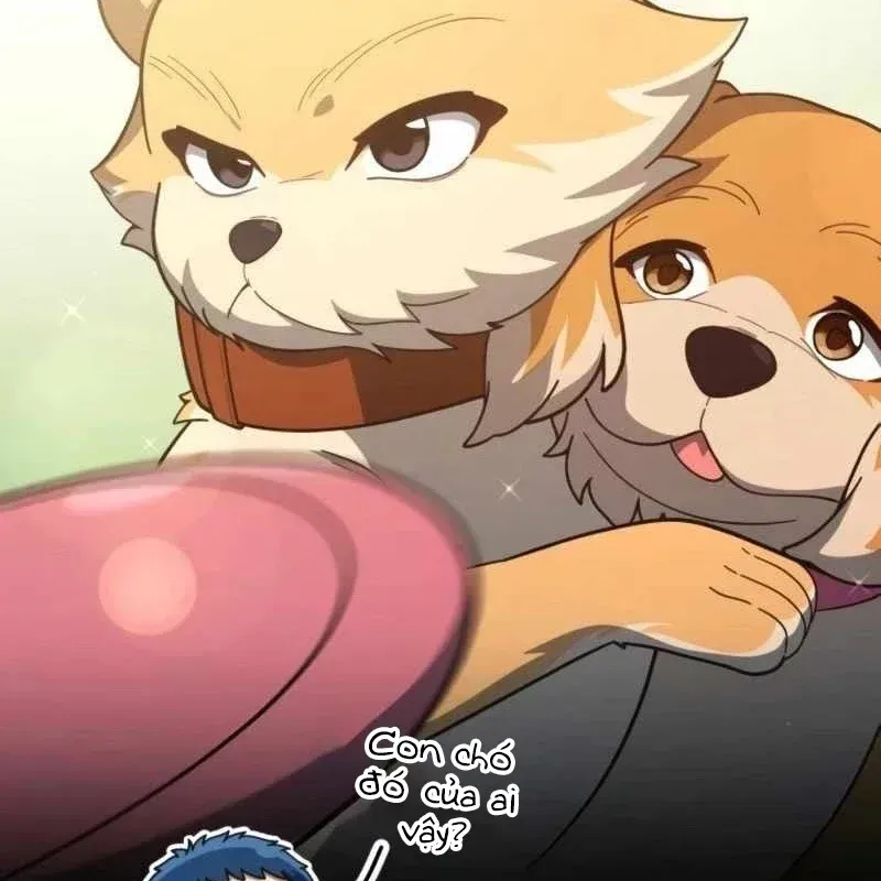 Thiên Tài Bình Dị Chap 62 - Next Chap 63