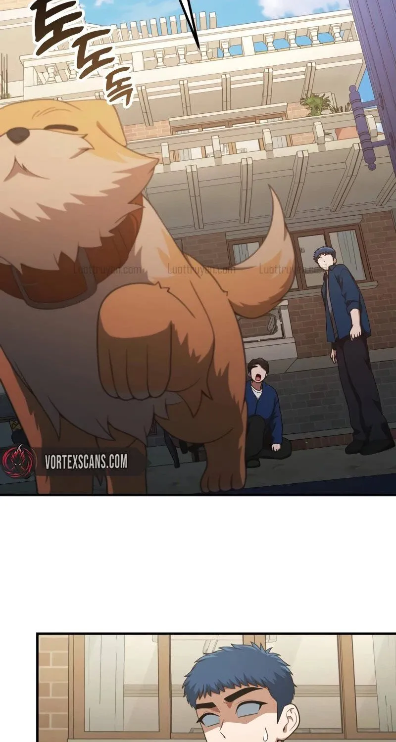 Thiên Tài Bình Dị Chap 74 - Next Chap 75