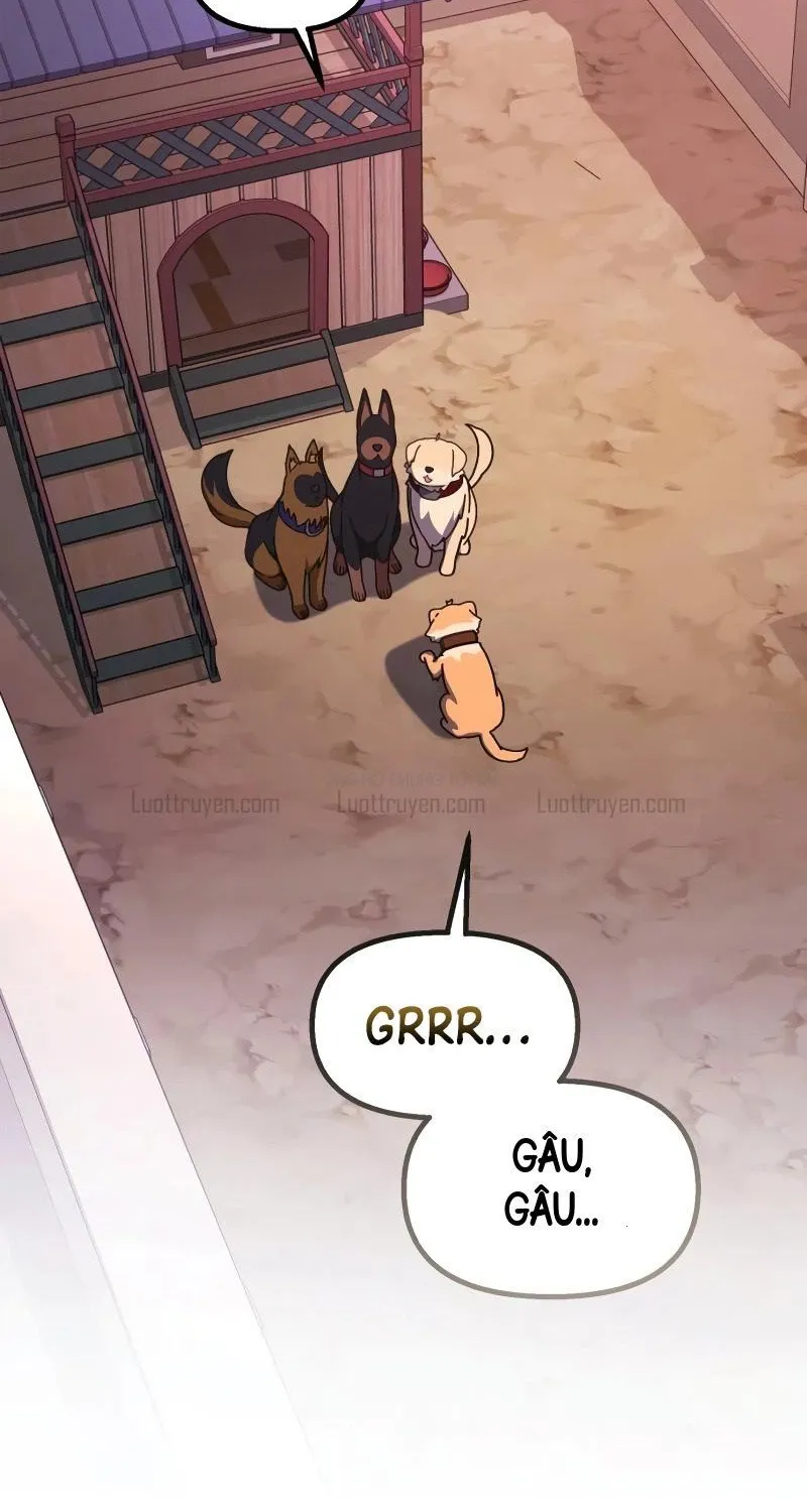 Thiên Tài Bình Dị Chap 77 - Next Chap 78