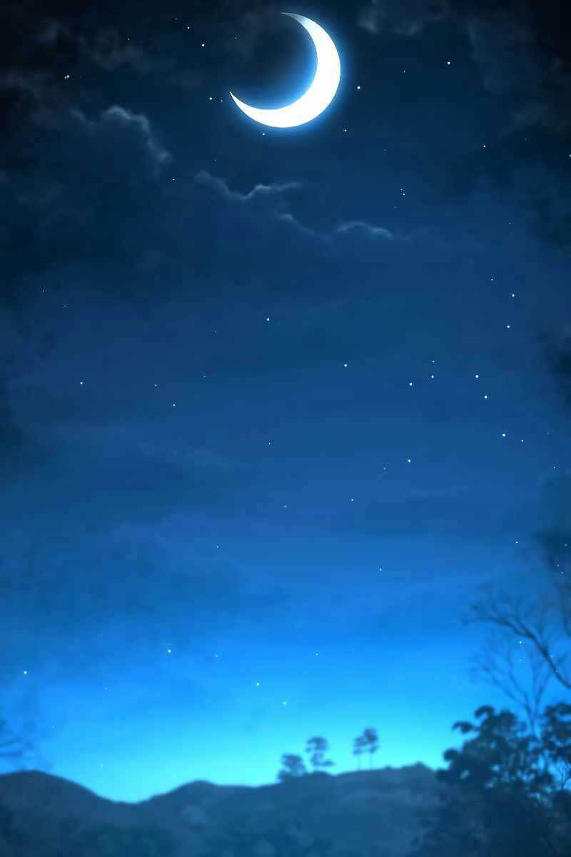 Thiên Tài Ma Pháp Sư Giấu Nghề Chap 49 - Next Chap 50