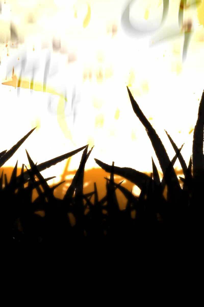 Thiên Tài Ma Pháp Sư Giấu Nghề Chap 50 - Next Chap 51