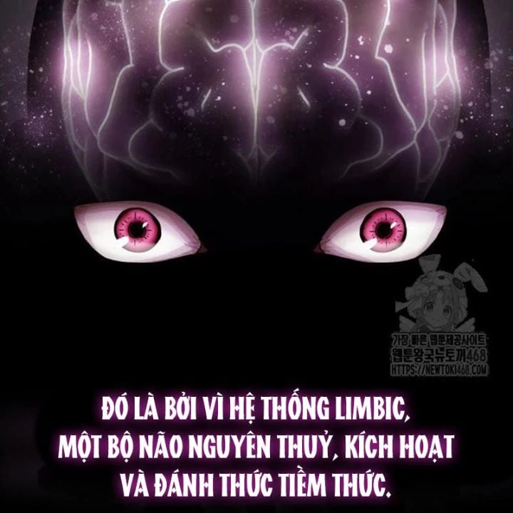 Thiên Tài Nhìn Thấu Thế Giới Chap 23 - Next Chap 24