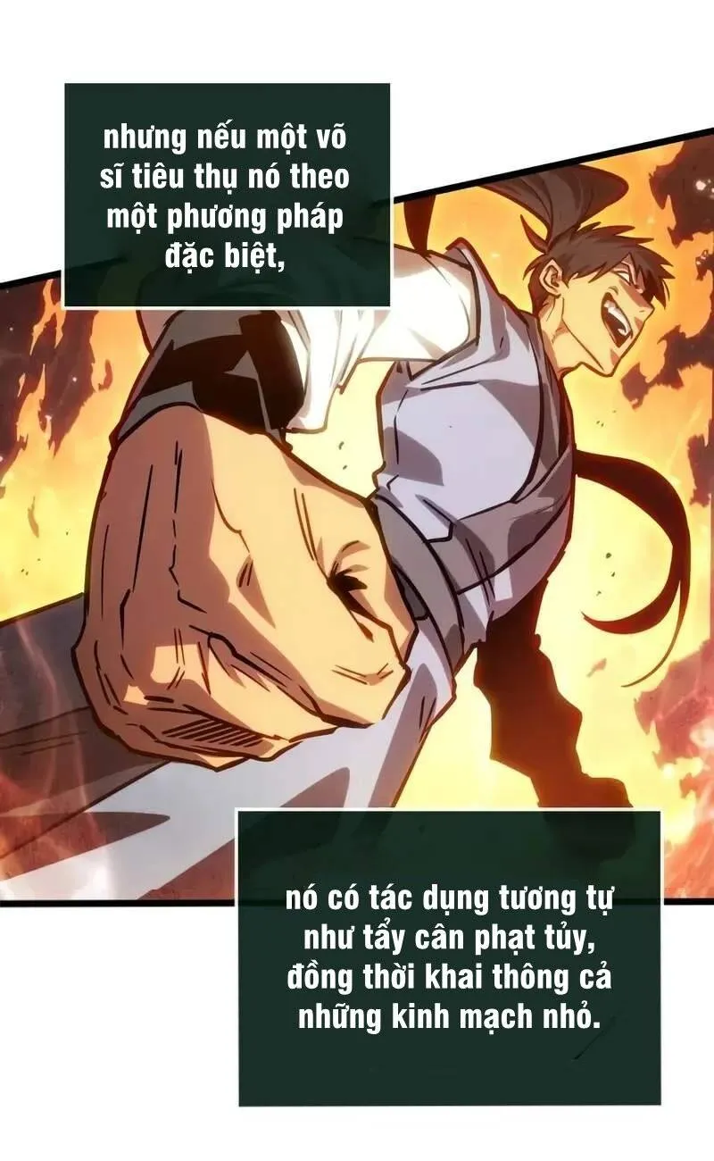Thiên Tài Võ Học Kẻ Nhớ Hết Tất Cả Chap 31 - Next Chap 32