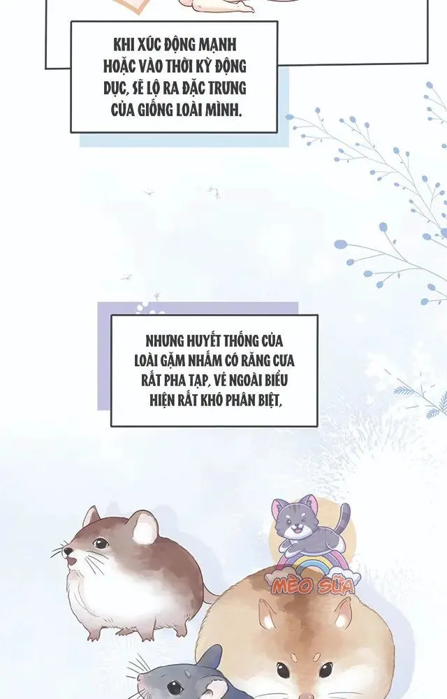 Thiết Ôm Luân Hãm Chap 1.1 - Next Chap 2.1