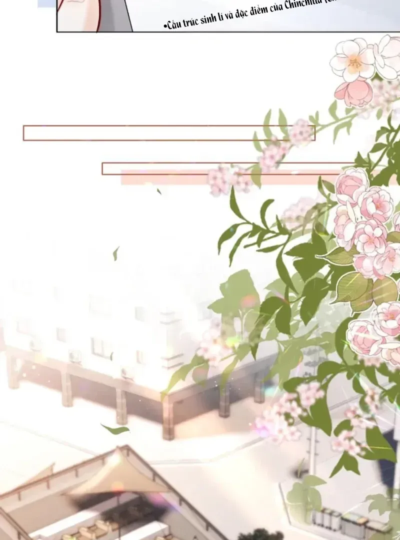 Thiết Ôm Luân Hãm Chap 16 - Next Chap 17