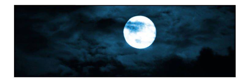 Thiếu Gia Bị Bỏ Rơi Chap 11 - Next Chap 12