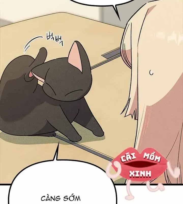 Thiếu Nữ 12 Con Giáp Chap 33 - Next Chap 34