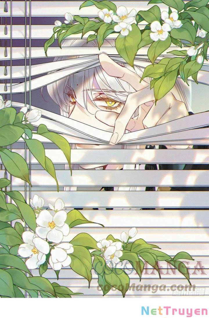 Thỉnh Quân Nhập Quẻ Chap 29 - Next Chap 30