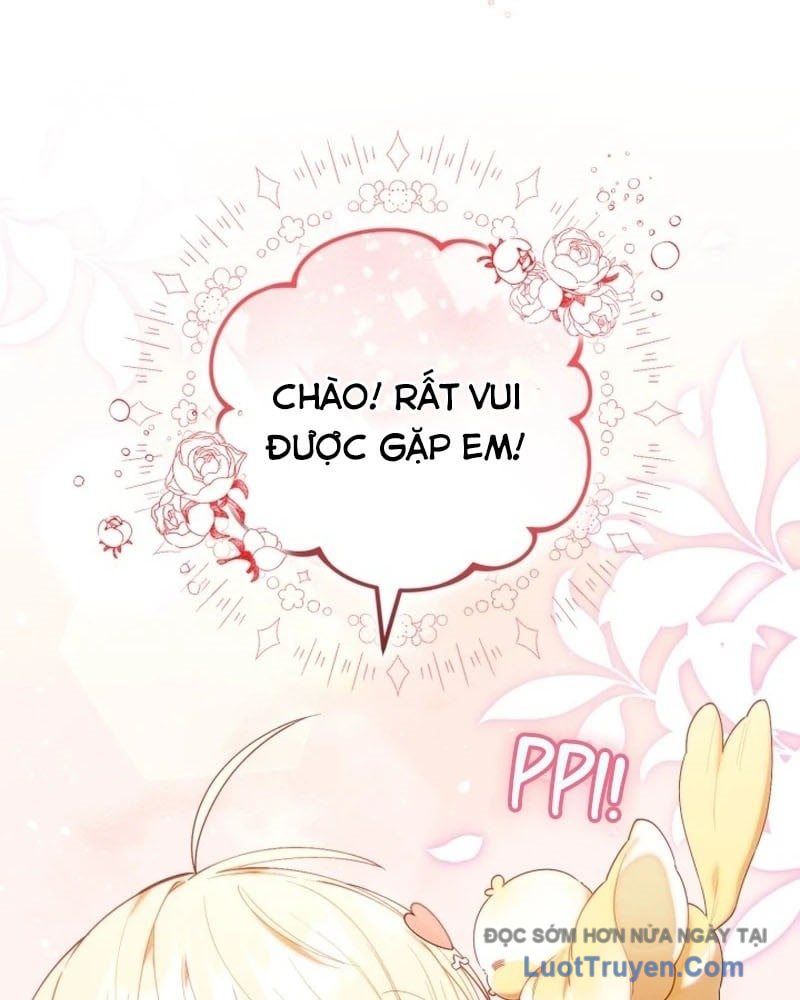 Thợ Săn Của Lớp Gà Con Chap 61 - Next Chap 62