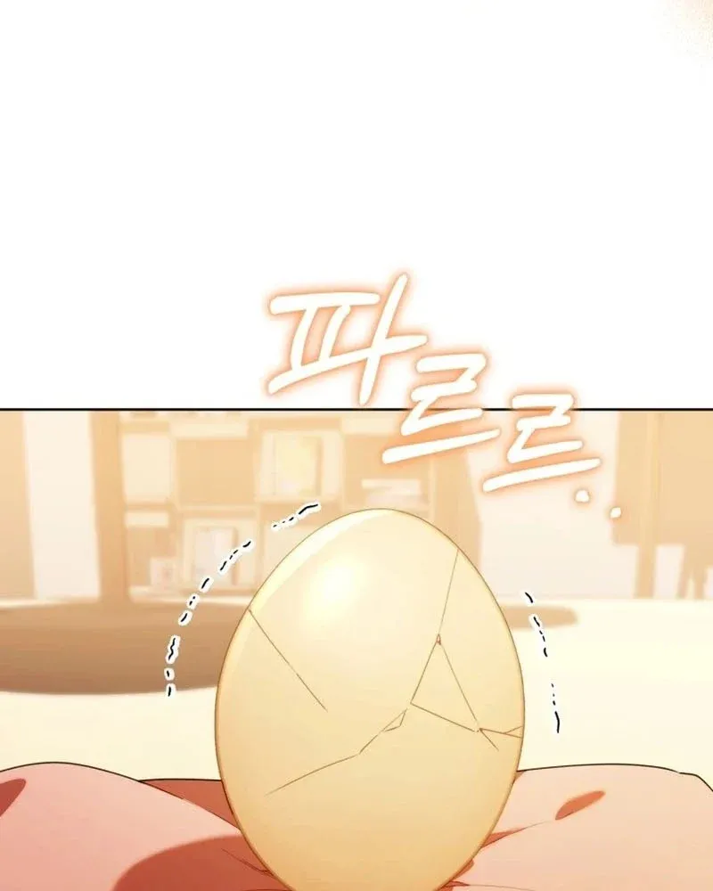 Thợ Săn Của Lớp Gà Con Chap 61 - Next Chap 62