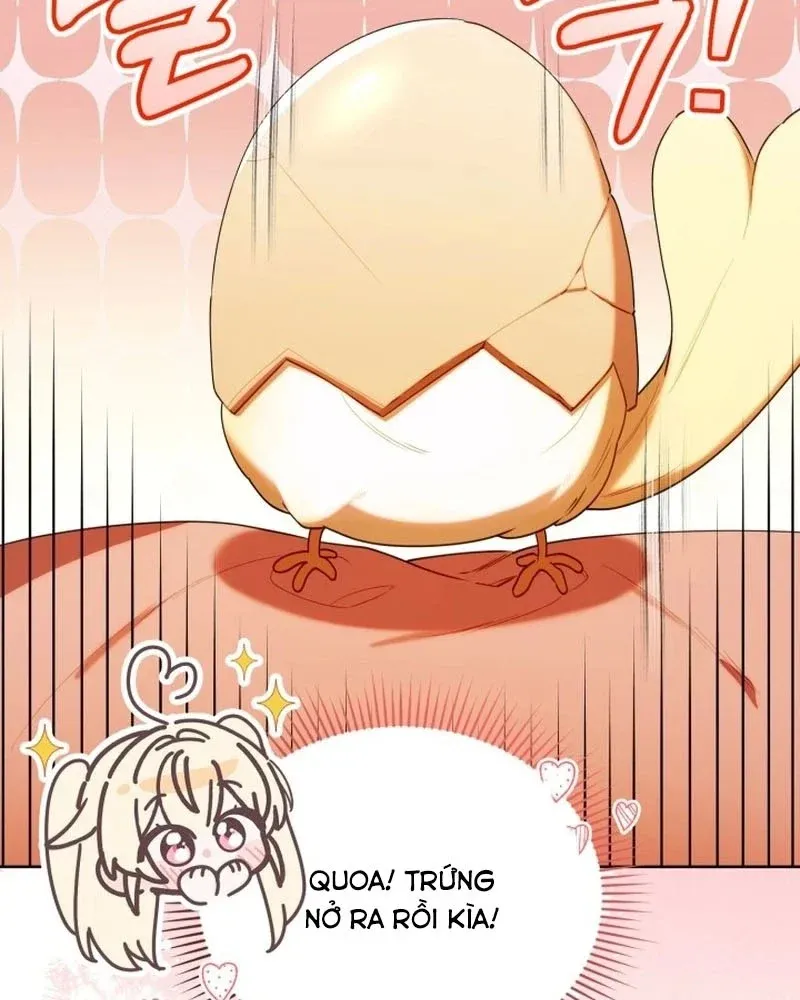 Thợ Săn Của Lớp Gà Con Chap 61 - Next Chap 62