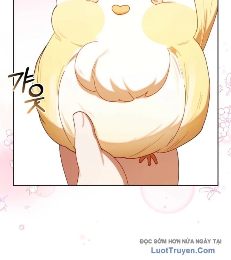 Thợ Săn Của Lớp Gà Con Chap 62 - Next Chap 63