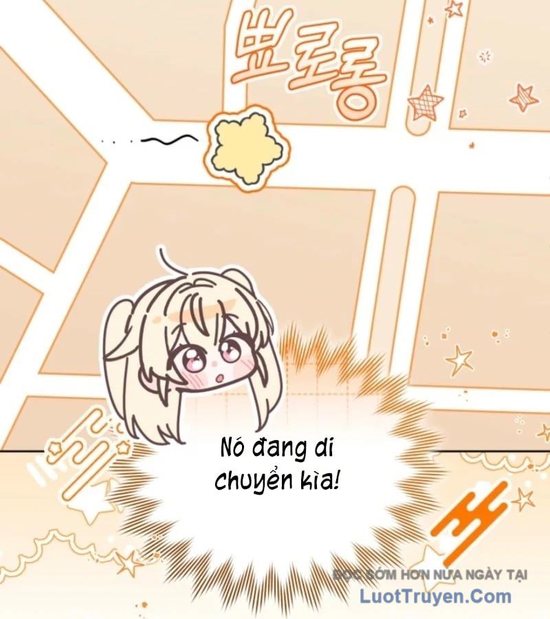 Thợ Săn Của Lớp Gà Con Chap 62 - Next Chap 63
