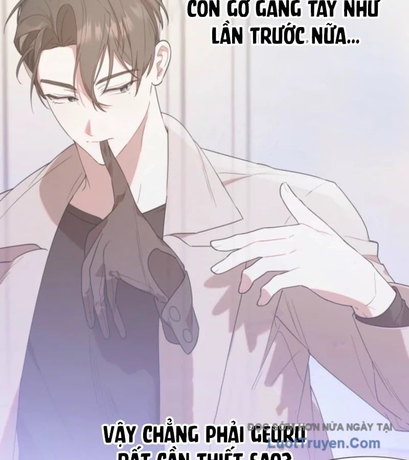 Thợ Săn Của Lớp Gà Con Chap 62 - Next Chap 63