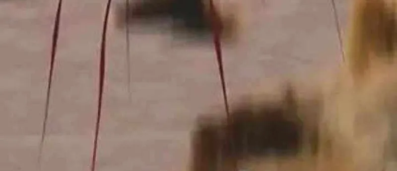 Thợ Săn Nguyên Thủy Chap 109 - Next Chap 110