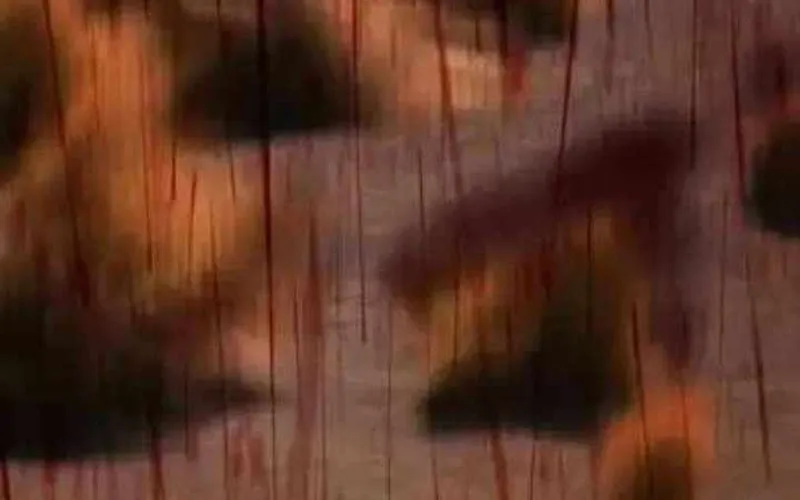 Thợ Săn Nguyên Thủy Chap 109 - Next Chap 110