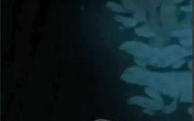 Thợ Săn Nguyên Thủy Chap 109 - Next Chap 110