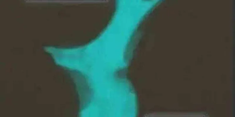 Thợ Săn Nguyên Thủy Chap 109 - Next Chap 110