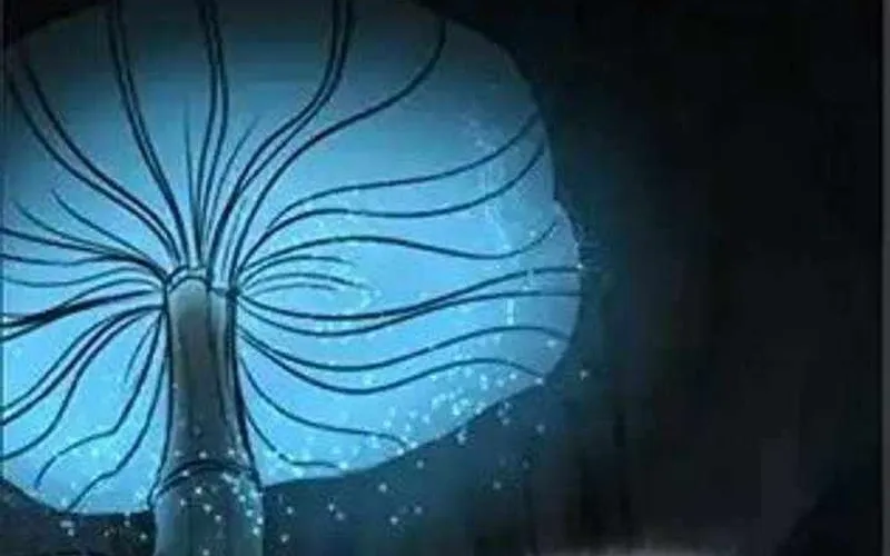 Thợ Săn Nguyên Thủy Chap 109 - Next Chap 110