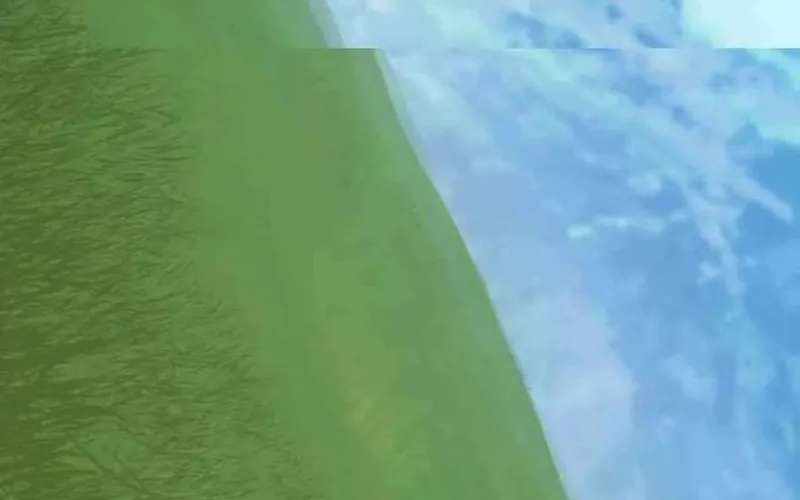 Thợ Săn Nguyên Thủy Chap 110 - Next Chap 111