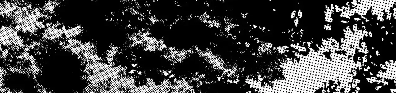 Thứ Đã Từng Là Anh Trai Tôi - Ngoại Truyện Chap 2 - Next Chap 3