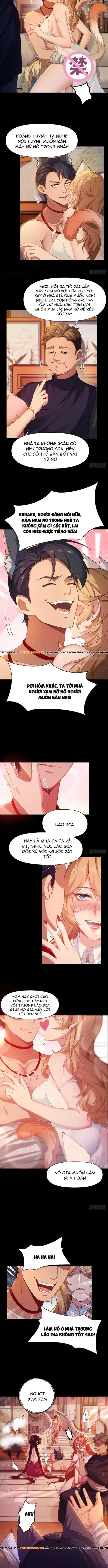 Thu Thập Hậu Cung: Ta Phải Cứu Vớt 7 Ác Nữ Chap 0 - Next Chap 1