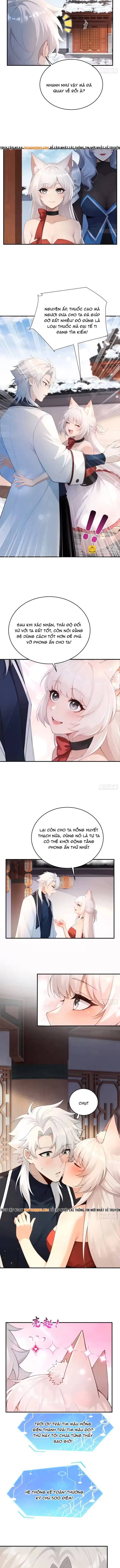 Thu Thập Hậu Cung: Ta Phải Cứu Vớt 7 Ác Nữ Chap 38 - Next Chap 39