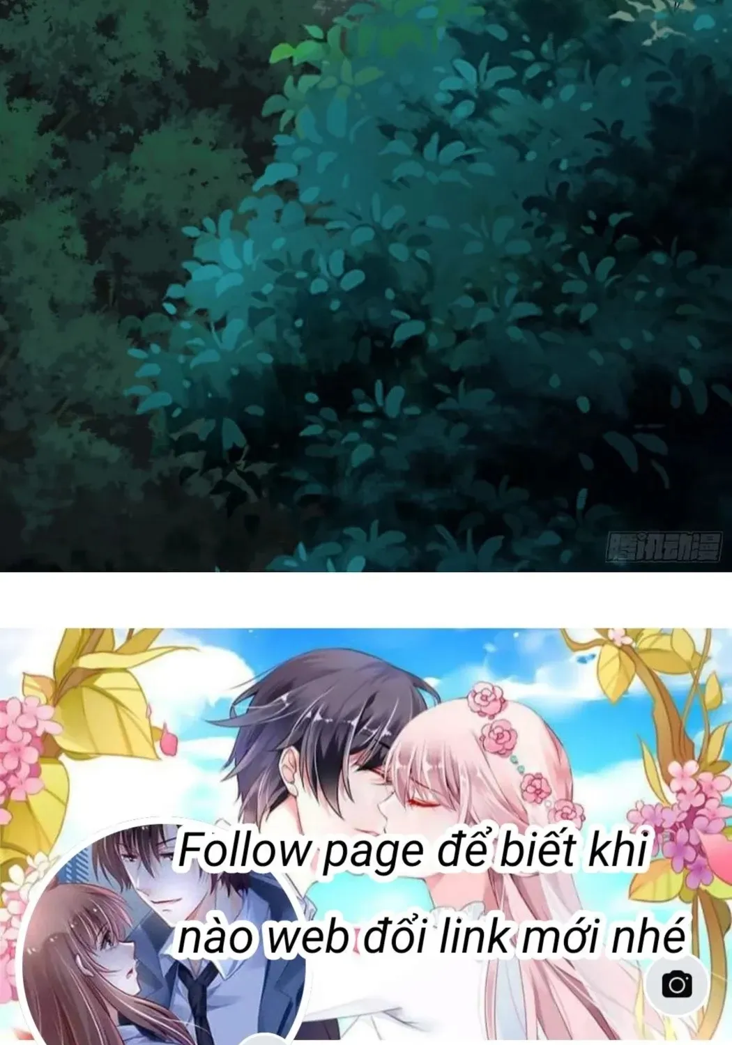 Thú Thế Nữ Vương Hôm Nay Lật Thẻ Rồi Sao ??? Chap 94 - Next Chap 95
