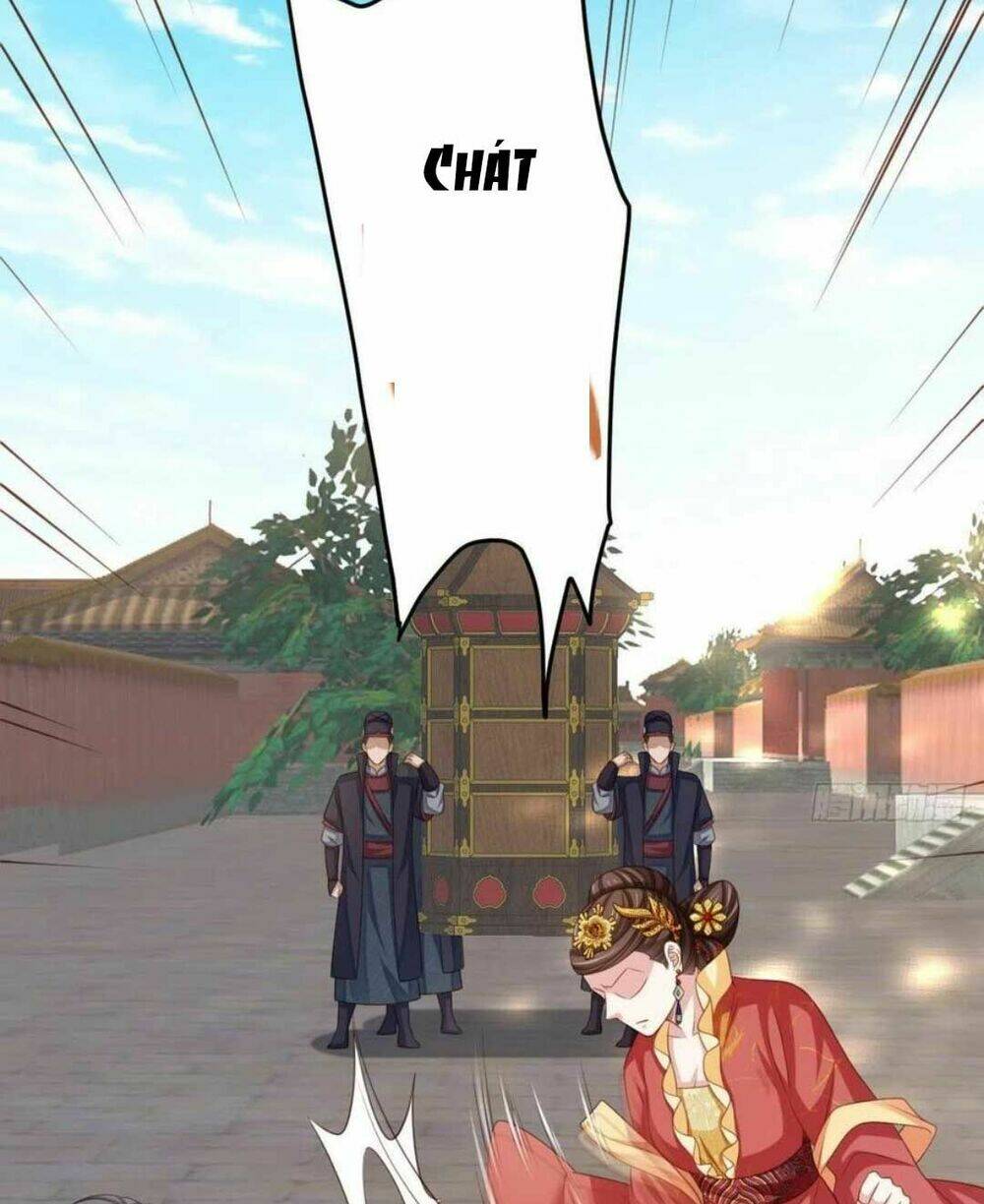 Thuần Hóa Ba Ba Bạo Quân Chap 35 - Next Chap 36