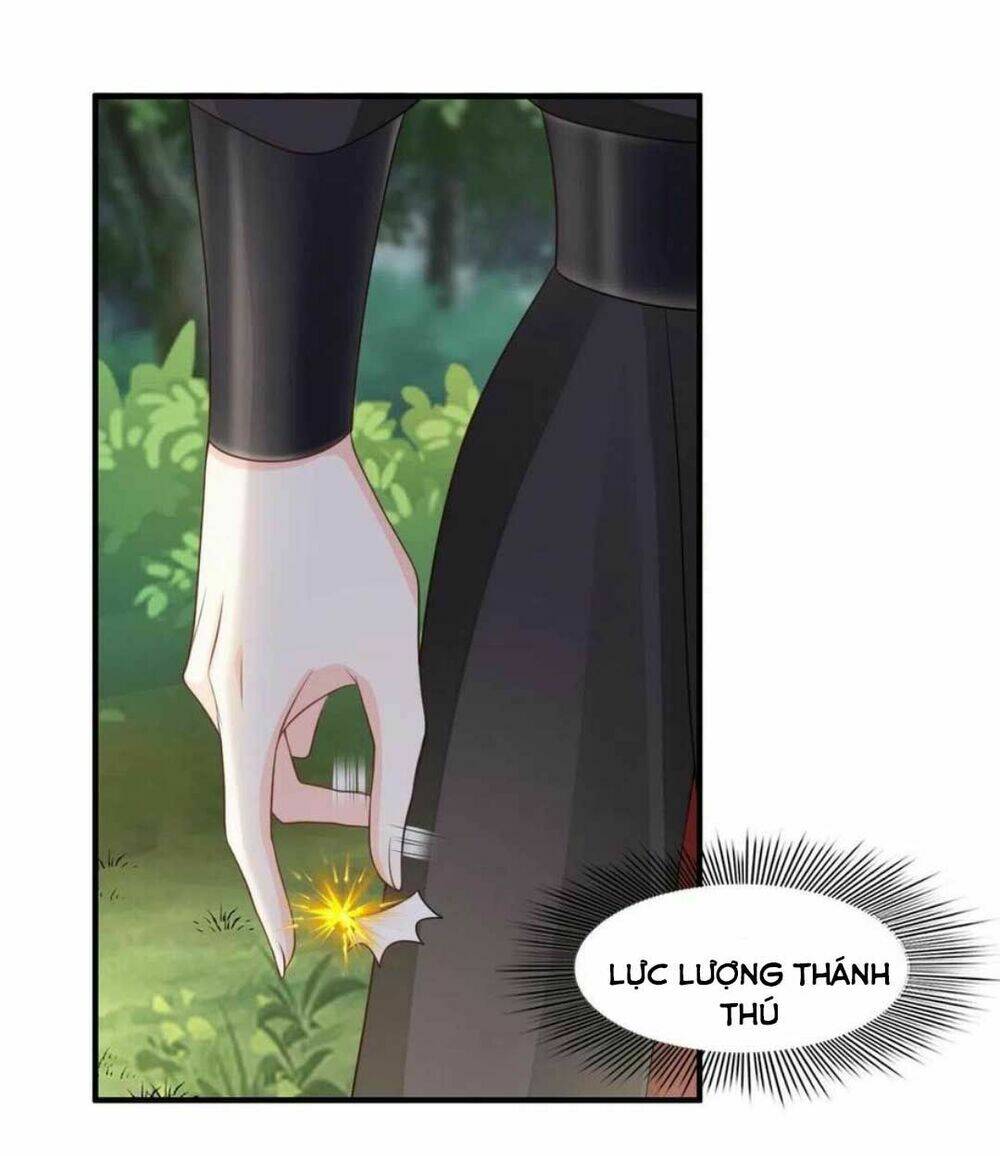 Thuần Hóa Ba Ba Bạo Quân Chap 41 - Next Chap 42