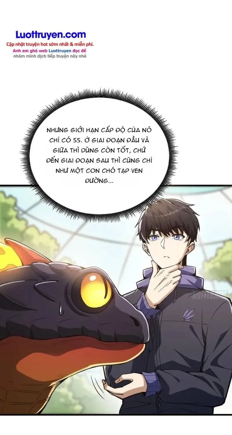 Thuần Hóa Quái Thú Toàn Cầu: Thức Tỉnh Cấp Sss Ngay Từ Khởi Đầu Chap 3 - Next Chap 4