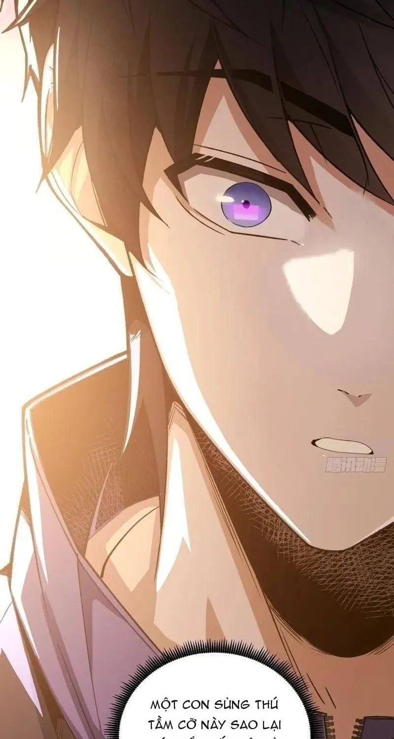 Thuần Hóa Quái Thú Toàn Cầu: Thức Tỉnh Cấp Sss Ngay Từ Khởi Đầu Chap 3 - Next Chap 4