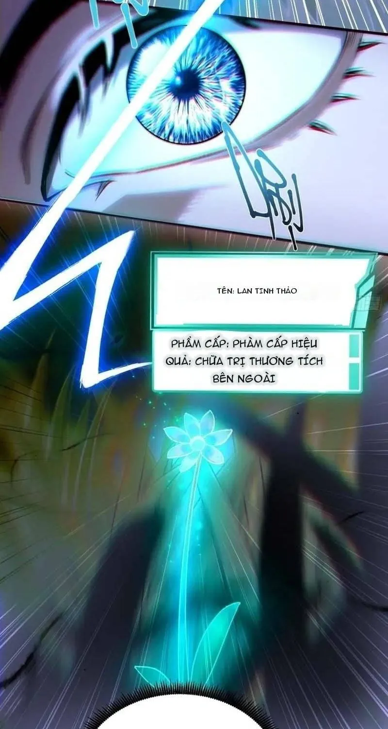 Thuần Hóa Quái Thú Toàn Cầu: Thức Tỉnh Cấp Sss Ngay Từ Khởi Đầu Chap 4 - Next Chap 5