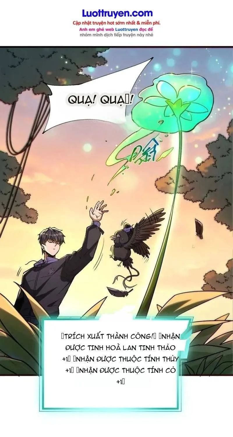 Thuần Hóa Quái Thú Toàn Cầu: Thức Tỉnh Cấp Sss Ngay Từ Khởi Đầu Chap 4 - Next Chap 5