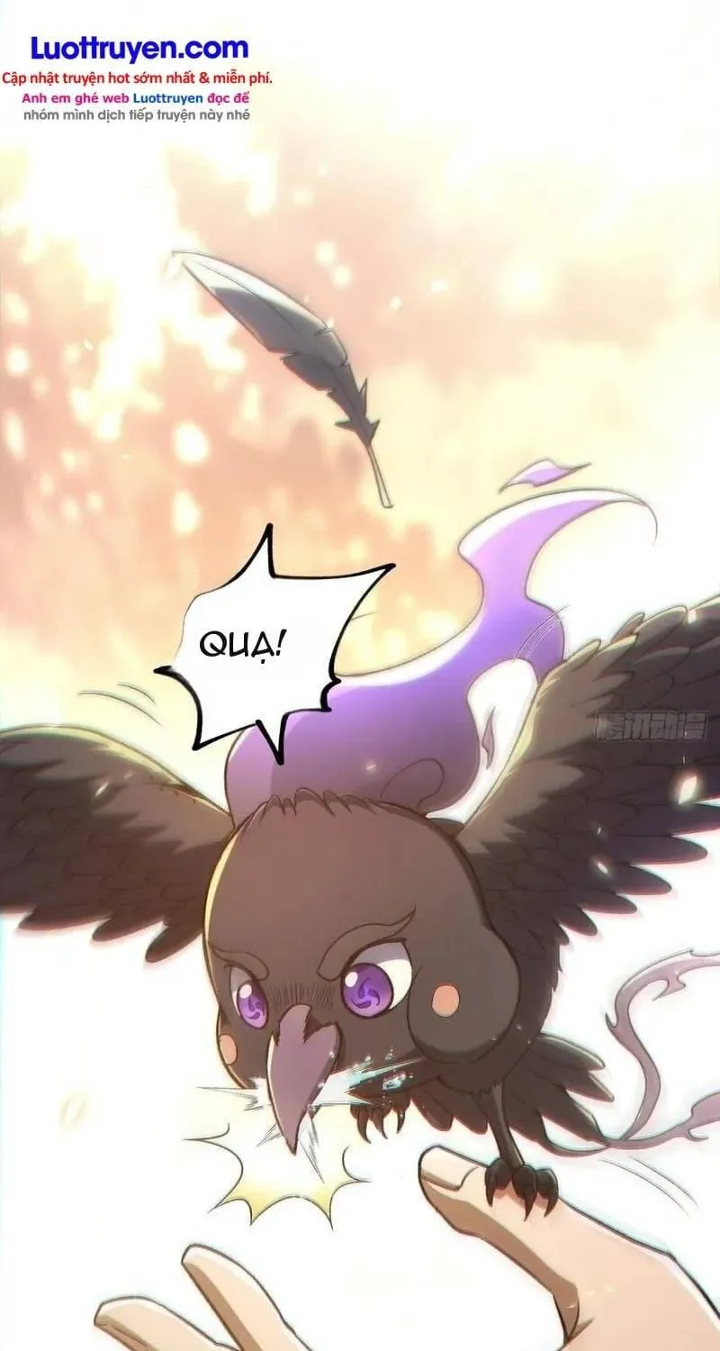 Thuần Hóa Quái Thú Toàn Cầu: Thức Tỉnh Cấp Sss Ngay Từ Khởi Đầu Chap 5 - Next Chap 6