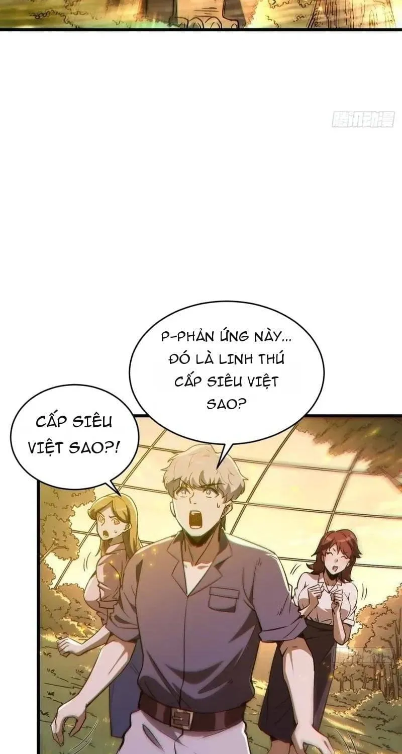Thuần Hóa Quái Thú Toàn Cầu: Thức Tỉnh Cấp Sss Ngay Từ Khởi Đầu Chap 5 - Next Chap 6