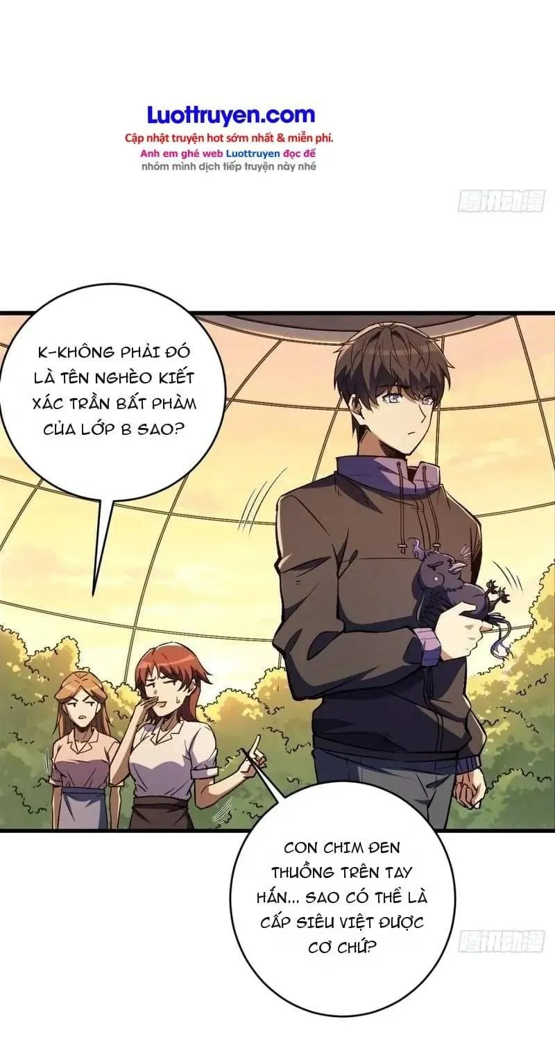 Thuần Hóa Quái Thú Toàn Cầu: Thức Tỉnh Cấp Sss Ngay Từ Khởi Đầu Chap 5 - Next Chap 6