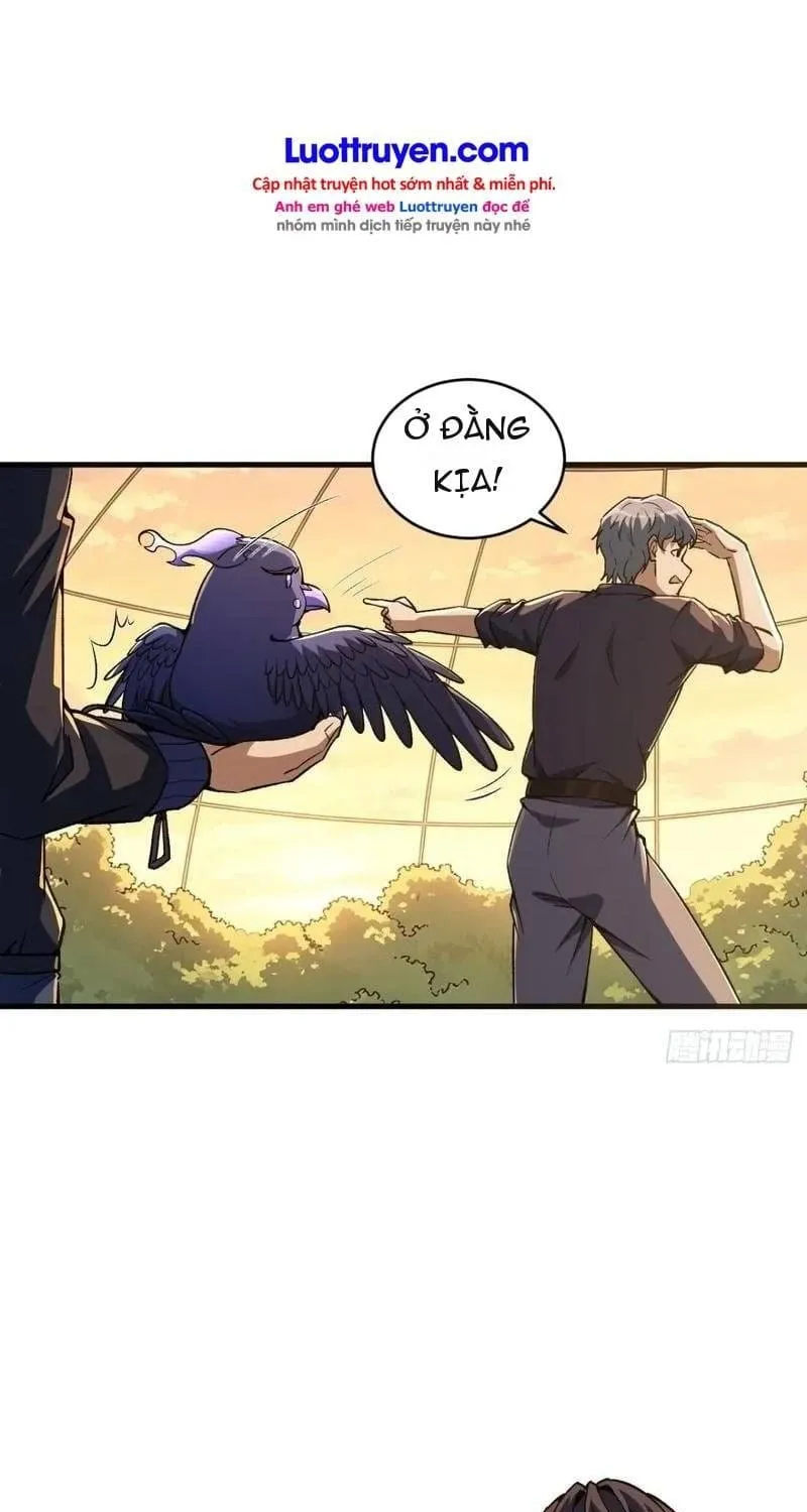 Thuần Hóa Quái Thú Toàn Cầu: Thức Tỉnh Cấp Sss Ngay Từ Khởi Đầu Chap 5 - Next Chap 6