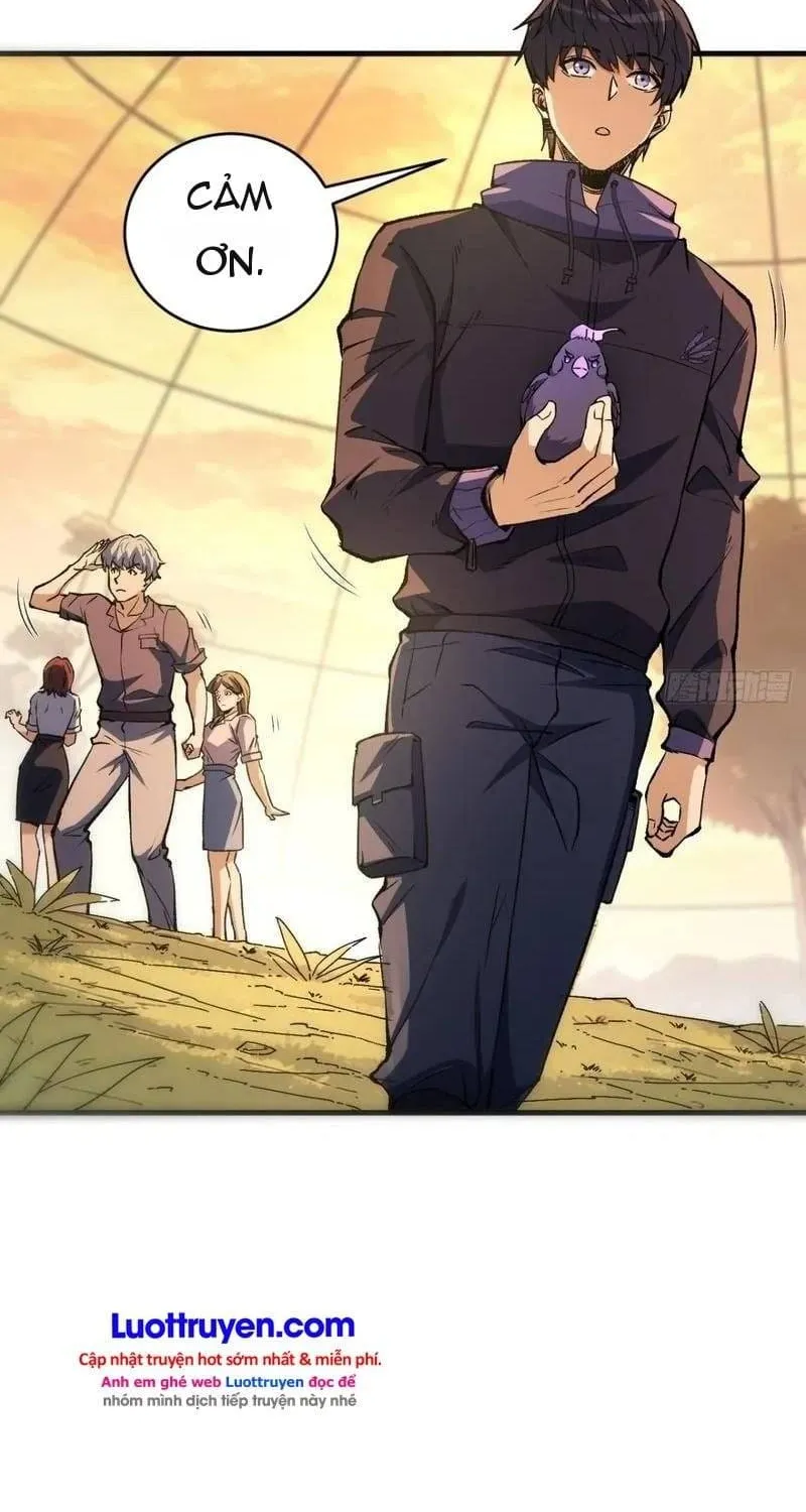 Thuần Hóa Quái Thú Toàn Cầu: Thức Tỉnh Cấp Sss Ngay Từ Khởi Đầu Chap 5 - Next Chap 6