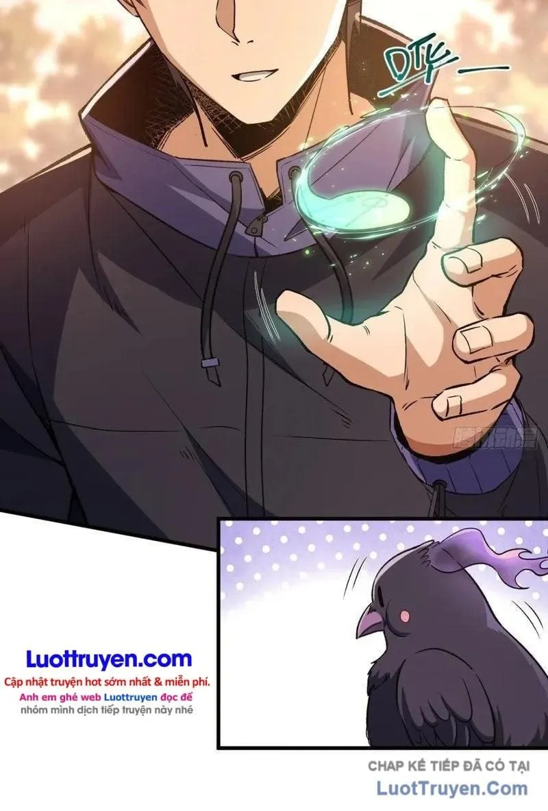 Thuần Hóa Quái Thú Toàn Cầu: Thức Tỉnh Cấp Sss Ngay Từ Khởi Đầu Chap 5 - Next Chap 6