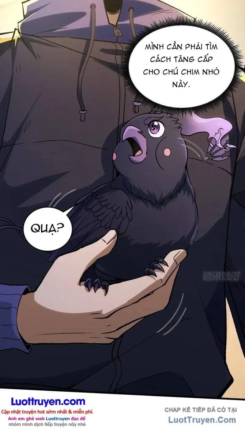 Thuần Hóa Quái Thú Toàn Cầu: Thức Tỉnh Cấp Sss Ngay Từ Khởi Đầu Chap 6 - Next Chap 7