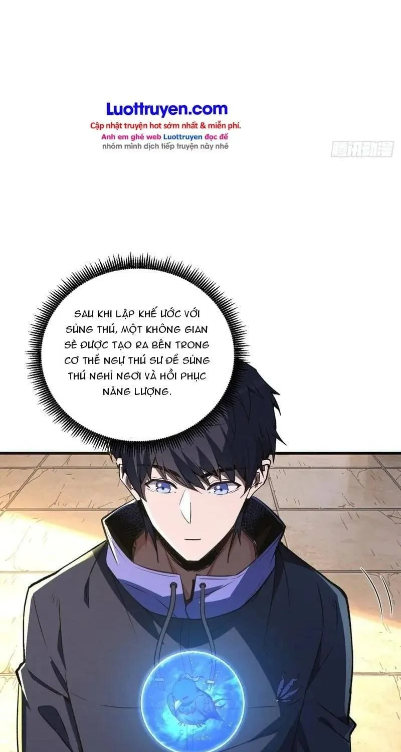 Thuần Hóa Quái Thú Toàn Cầu: Thức Tỉnh Cấp Sss Ngay Từ Khởi Đầu Chap 6 - Next Chap 7