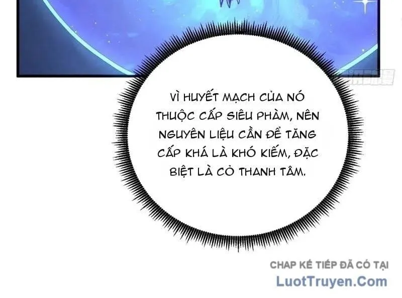 Thuần Hóa Quái Thú Toàn Cầu: Thức Tỉnh Cấp Sss Ngay Từ Khởi Đầu Chap 6 - Next Chap 7