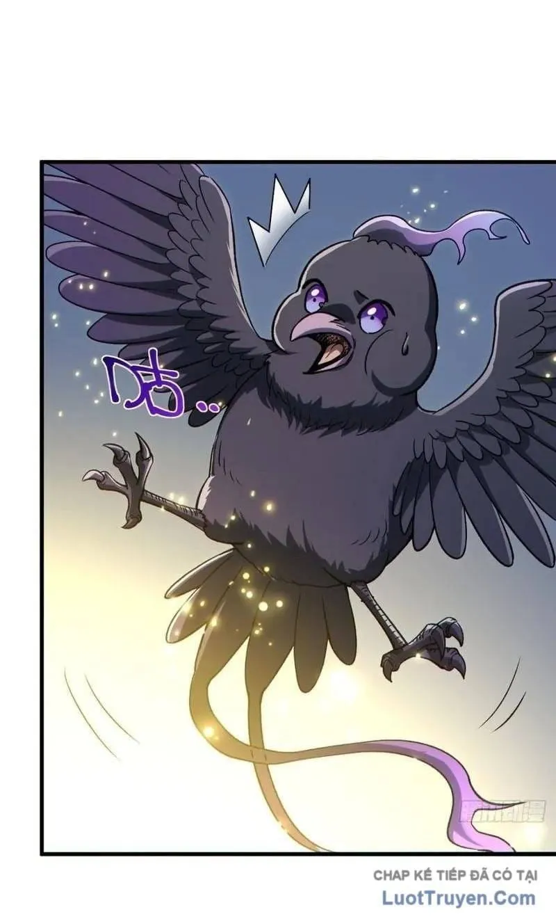 Thuần Hóa Quái Thú Toàn Cầu: Thức Tỉnh Cấp Sss Ngay Từ Khởi Đầu Chap 8 - Next Chap 9