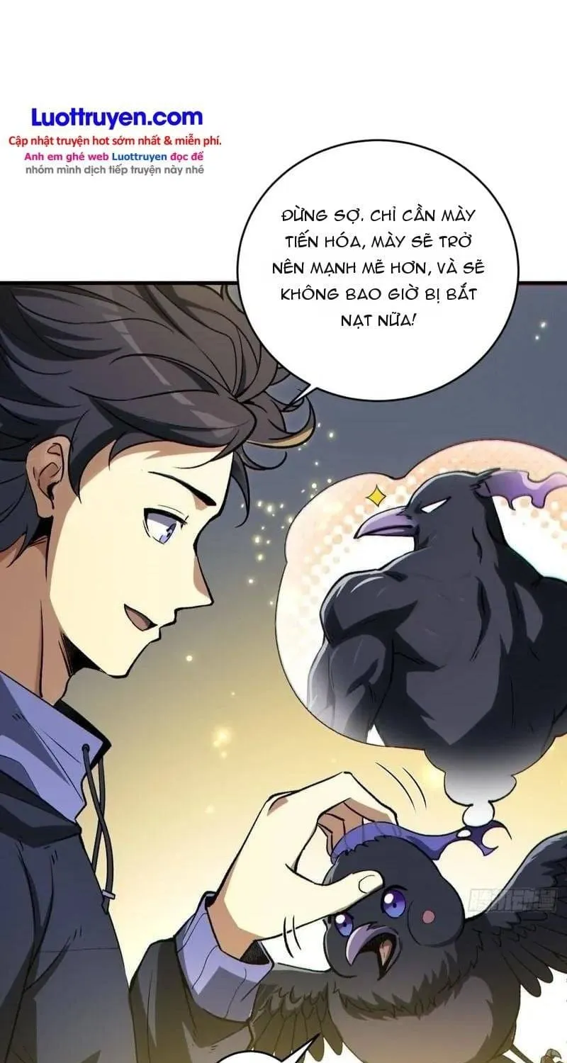 Thuần Hóa Quái Thú Toàn Cầu: Thức Tỉnh Cấp Sss Ngay Từ Khởi Đầu Chap 8 - Next Chap 9