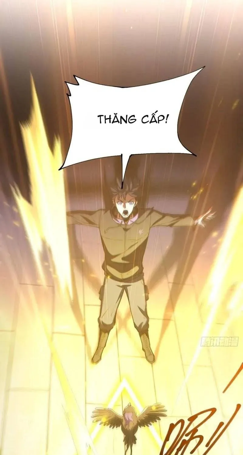 Thuần Hóa Quái Thú Toàn Cầu: Thức Tỉnh Cấp Sss Ngay Từ Khởi Đầu Chap 8 - Next Chap 9