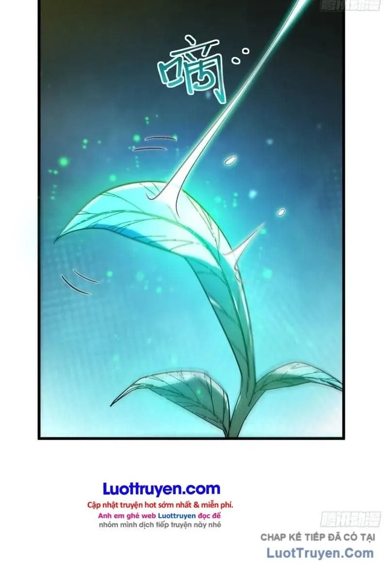 Thuần Hóa Quái Thú Toàn Cầu: Thức Tỉnh Cấp Sss Ngay Từ Khởi Đầu Chap 8 - Next Chap 9