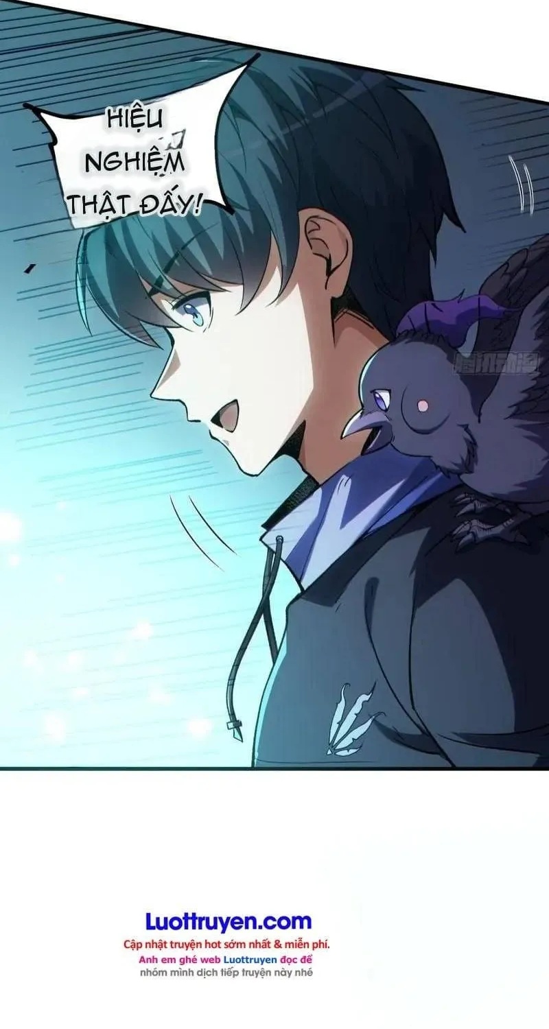Thuần Hóa Quái Thú Toàn Cầu: Thức Tỉnh Cấp Sss Ngay Từ Khởi Đầu Chap 8 - Next Chap 9