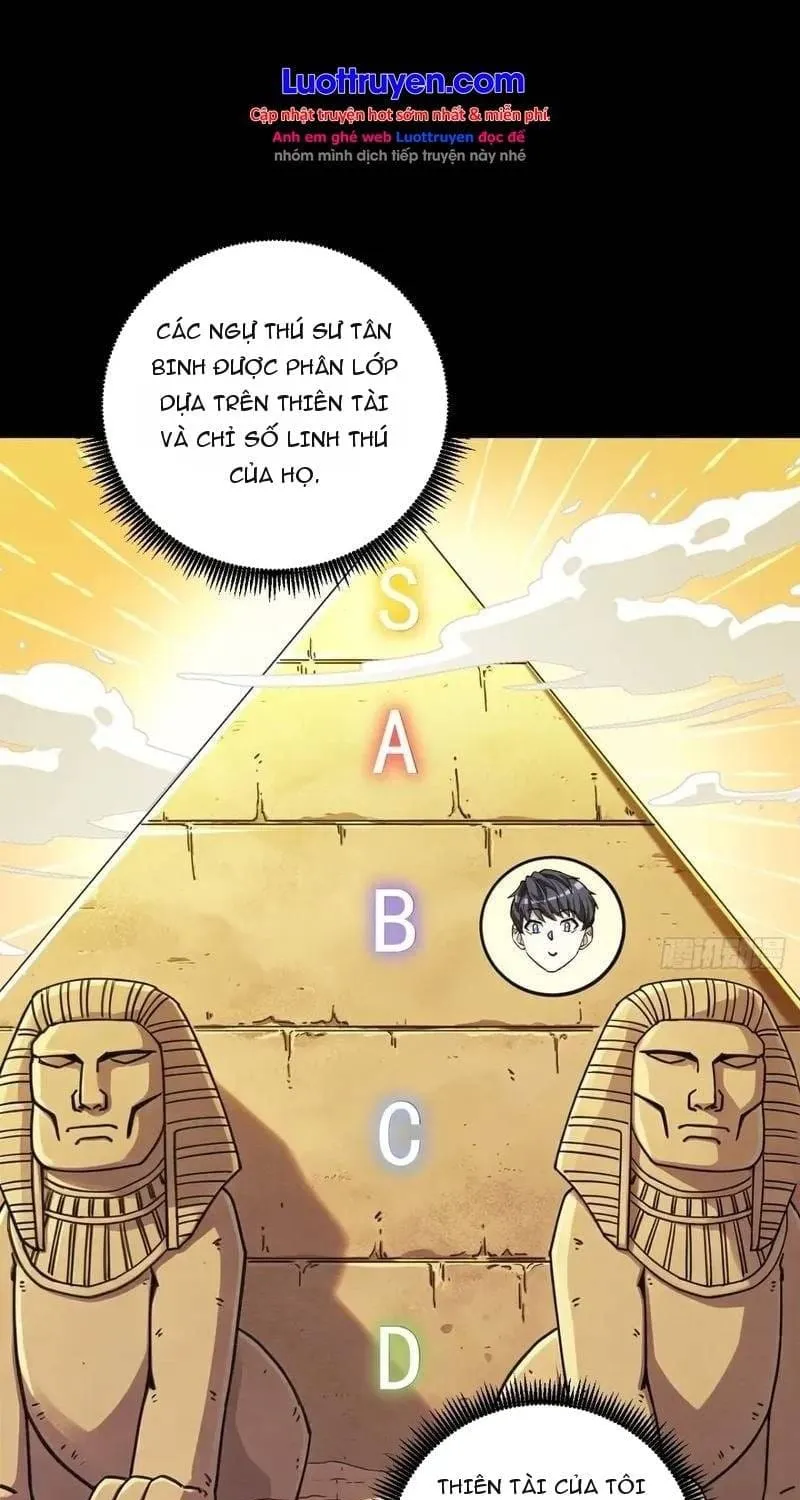 Thuần Hóa Quái Thú Toàn Cầu: Thức Tỉnh Cấp Sss Ngay Từ Khởi Đầu Chap 9 - Next Chap 10