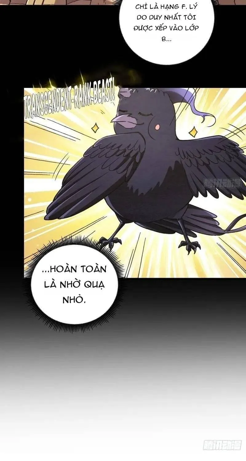 Thuần Hóa Quái Thú Toàn Cầu: Thức Tỉnh Cấp Sss Ngay Từ Khởi Đầu Chap 9 - Next Chap 10